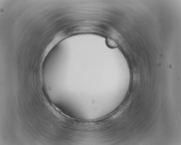 X0000078311370200611251523