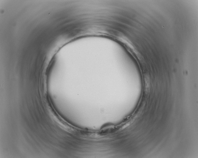 X0000078311371200611251523