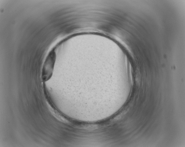 X0000078311372200611251523