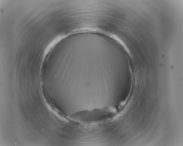 X0000078311373200611251523