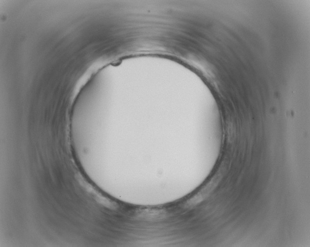 X0000078311374200611251523