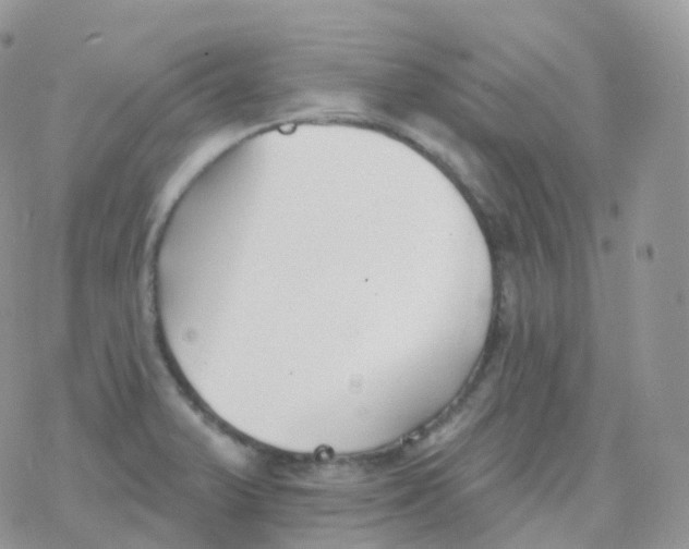 X0000078311375200611251523