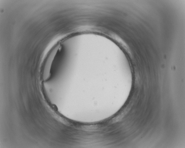 X0000078311376200611251523