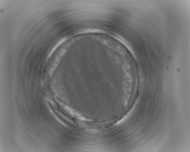 X0000078311377200611251523