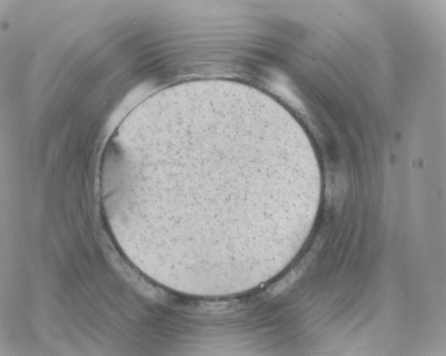 X0000078311378200611251523