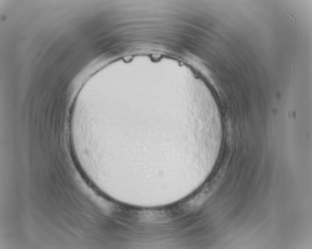 X0000078311379200611251523