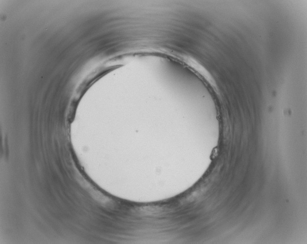 X0000078311380200611251523