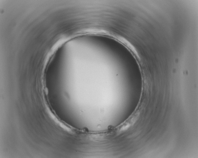 X0000078311381200611251523