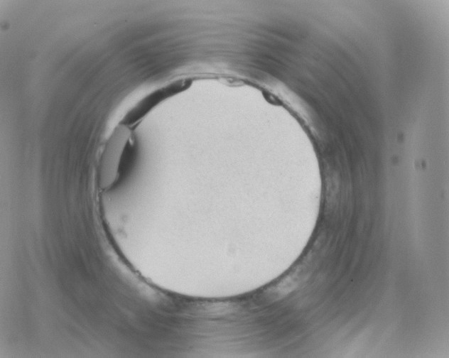 X0000078311382200611251523