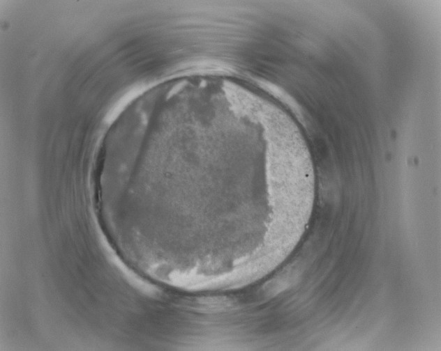 X0000078311383200611251522