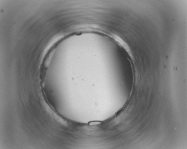 X0000078311384200611251522