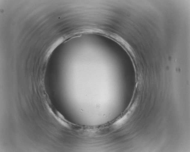 X0000078311385200611251522