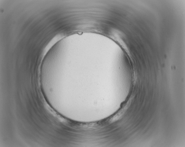 X0000078311386200611251522