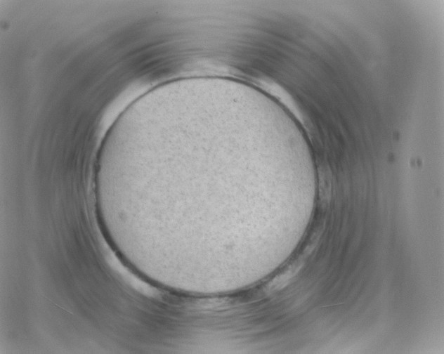 X0000078311387200611251522