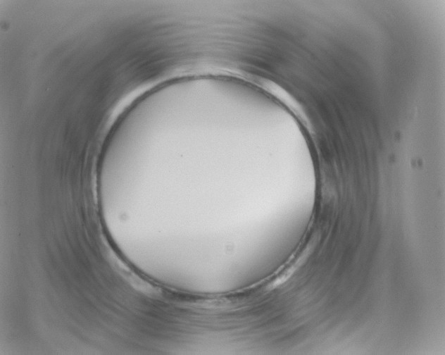 X0000078311388200611251522