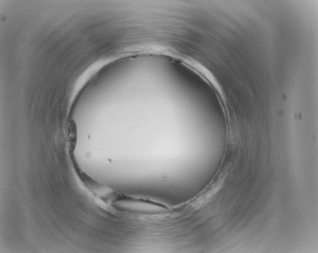 X0000078311389200611251522