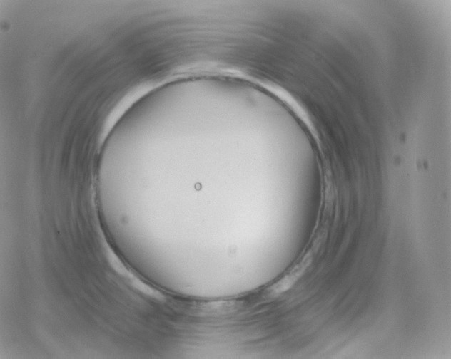 X0000078311390200611251522