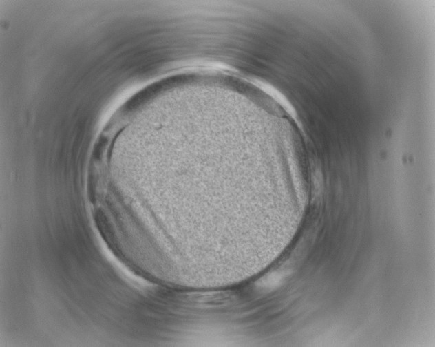 X0000078311391200611251522