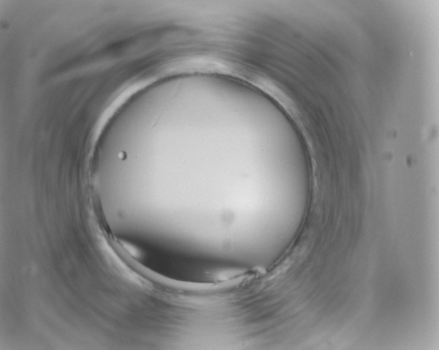 X0000078311392200611251522