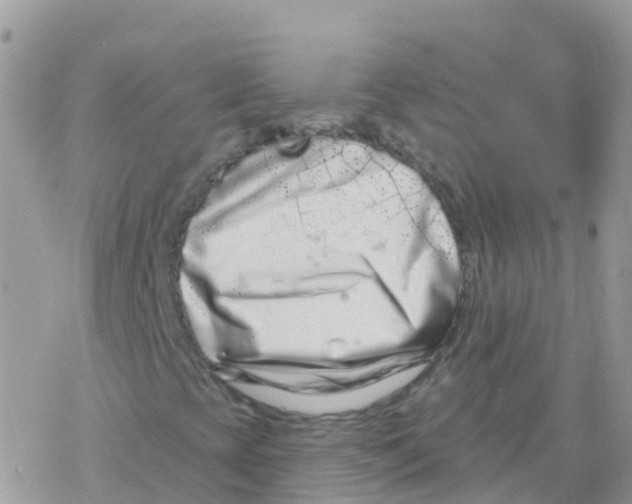 X0000078311393200611251522