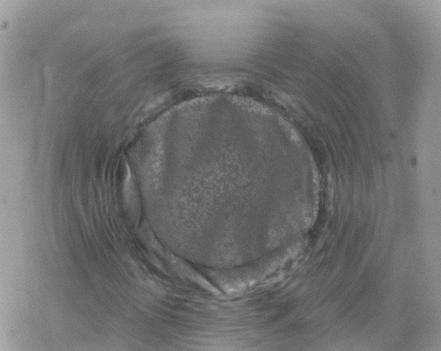 X0000078311394200611251522