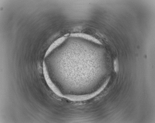 X0000078311395200611251522