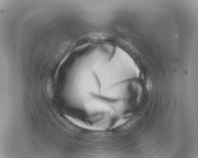 X0000078311396200611251522