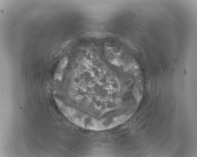 X0000078311397200611251522