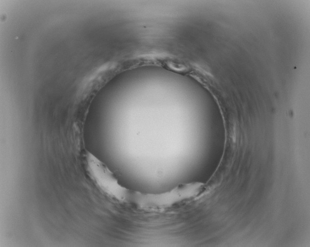 X0000078311398200611251522