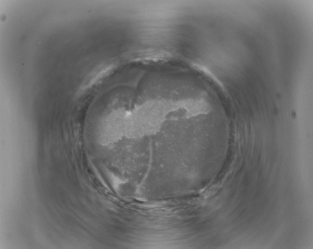 X0000078311399200611251522