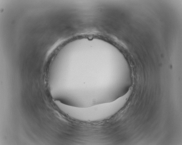 X0000078311400200611251522