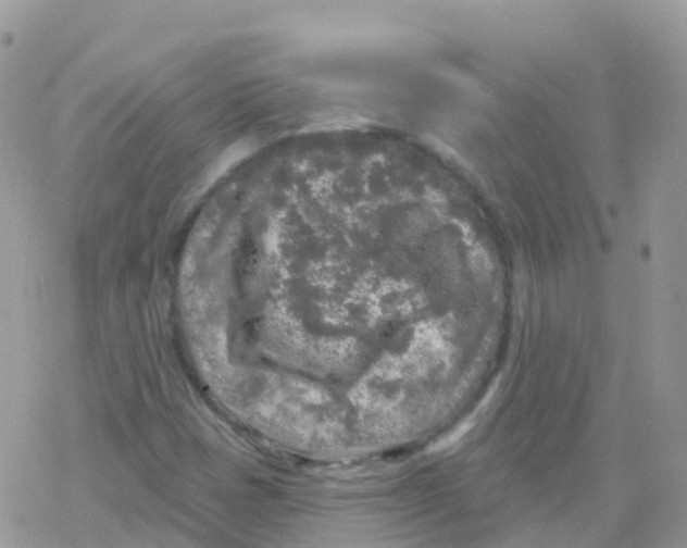 X0000078311401200611251522