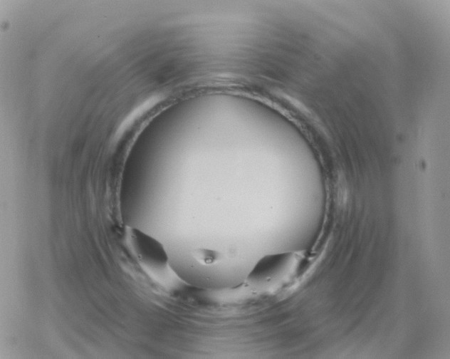 X0000078311402200611251522