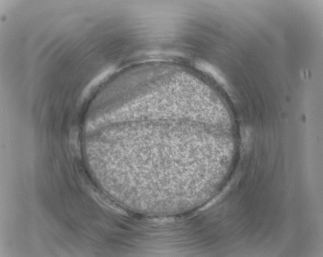 X0000078311403200611251522