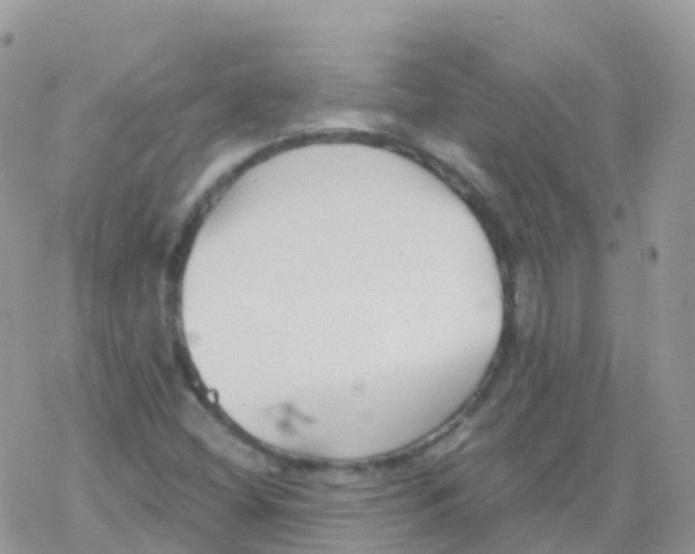 X0000078311404200611251522