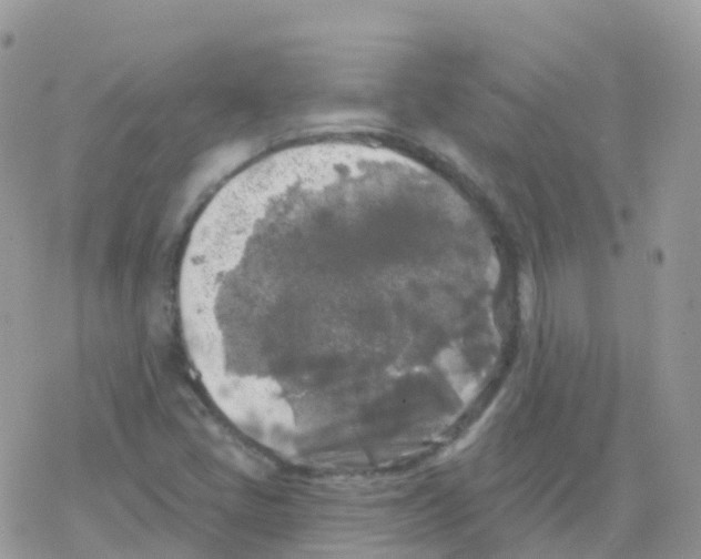 X0000078311405200611251522