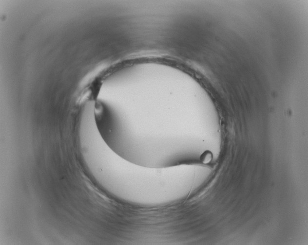 X0000078311406200611251522