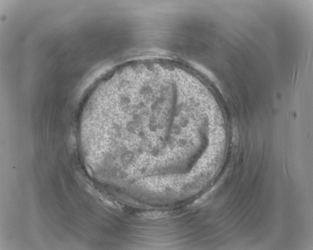 X0000078311407200611251522