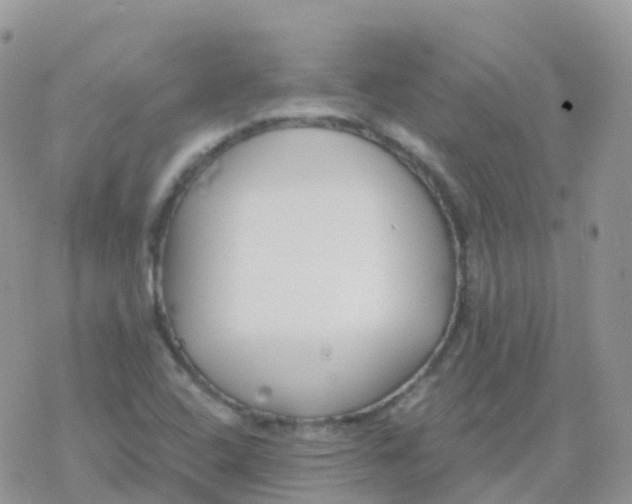 X0000078311408200611251522