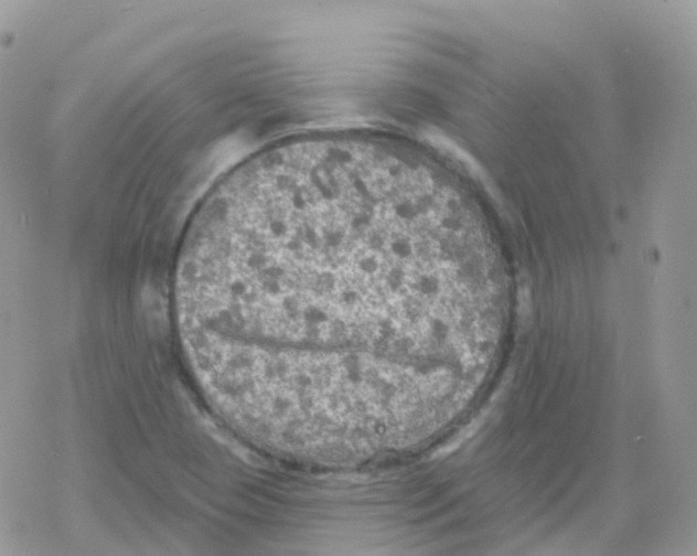 X0000078311409200611251522