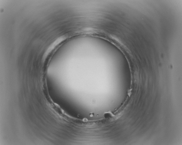 X0000078311410200611251522