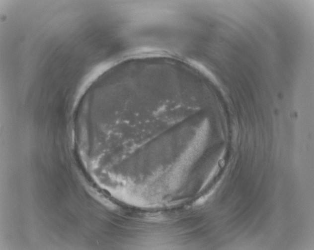 X0000078311413200611251522