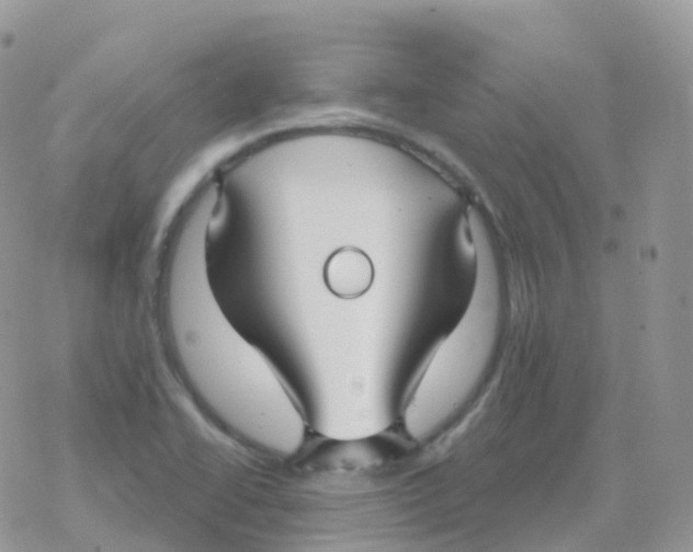 X0000078311414200611251522