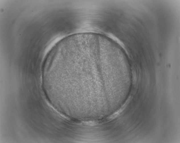 X0000078311415200611251522