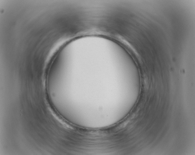 X0000078311416200611251522