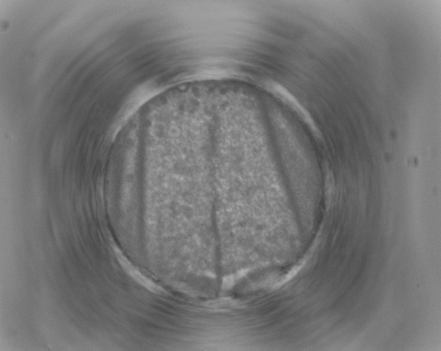 X0000078311417200611251522