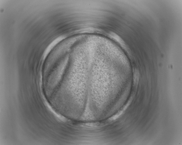 X0000078311418200611251522