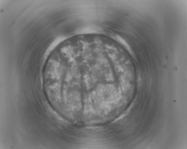 X0000078311419200611251522