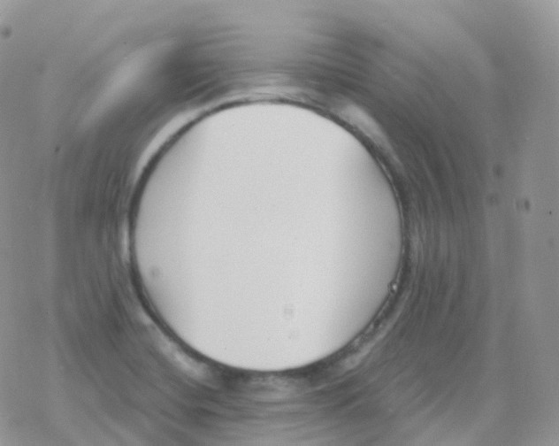 X0000078311420200611251522