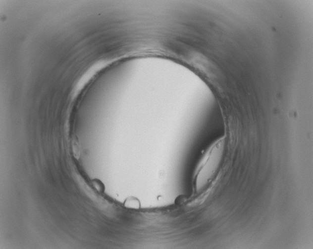 X0000078311422200611251522